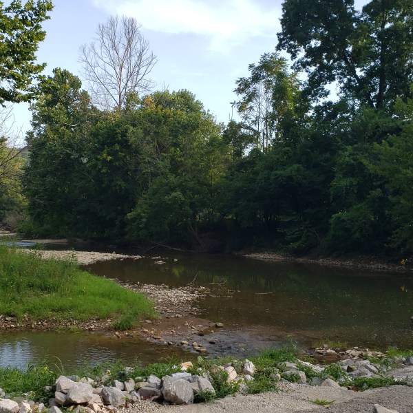 Squire Boone Caverns Zipline Adventures